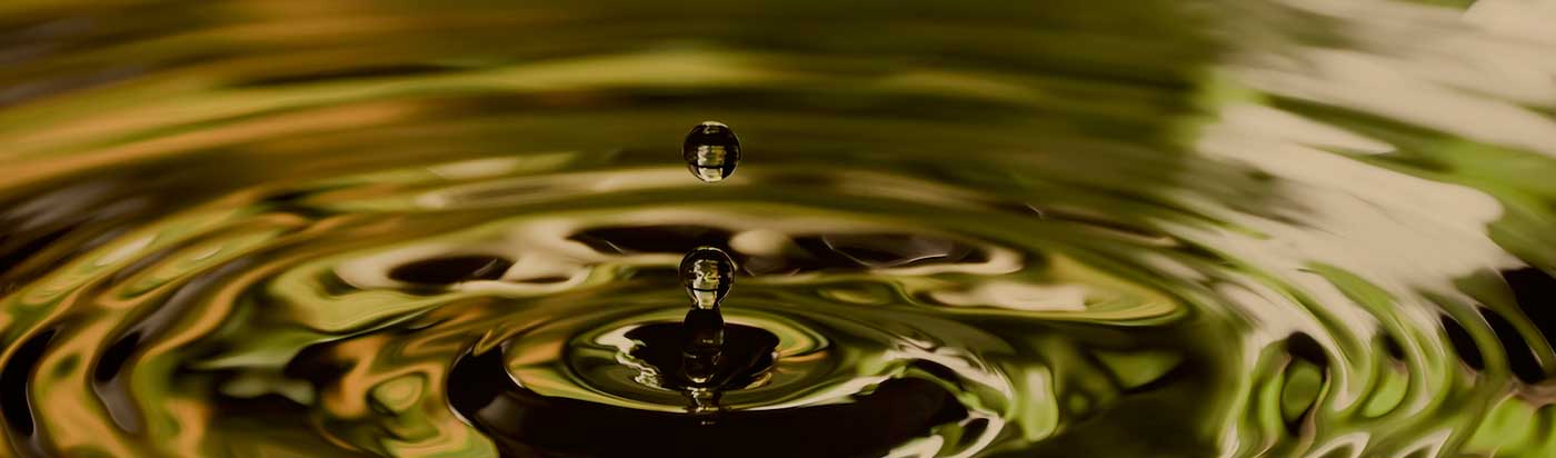 UM Sexual Ethics Information