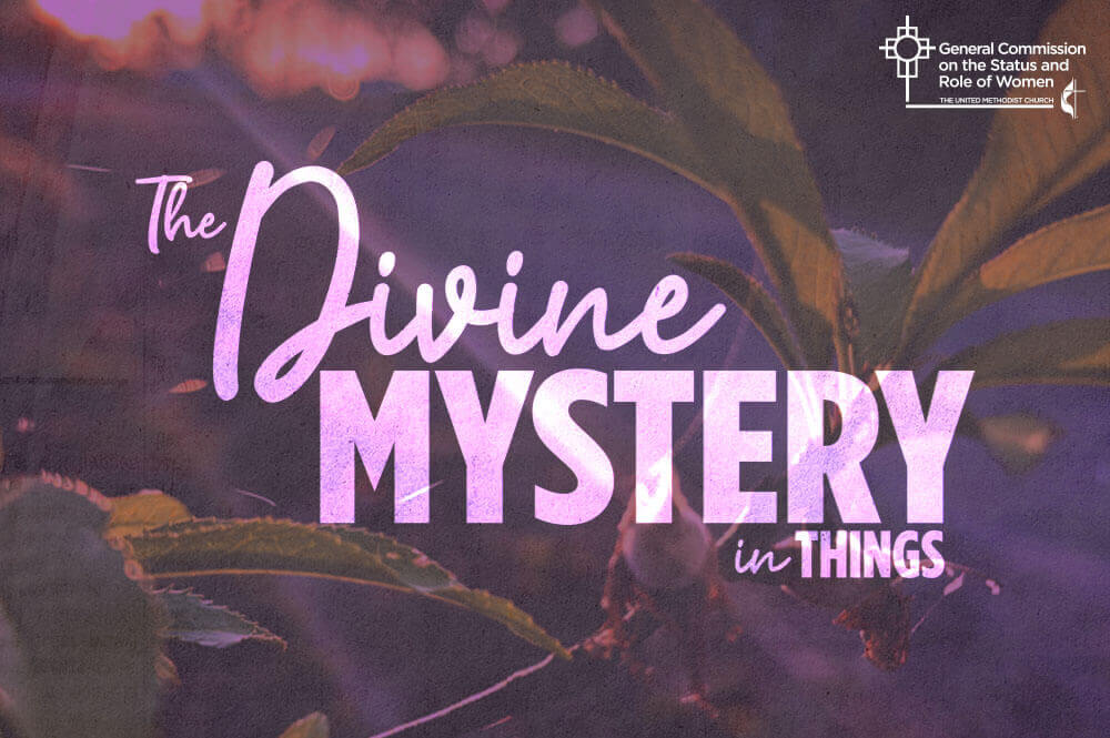 The Divine Mystery in Things graphic provided by GCSRW. 