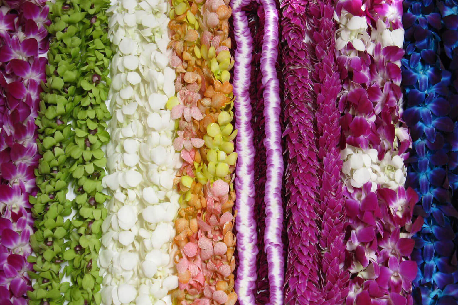 Flowers from leis. Image: BestFlowerLeis, CC BY-SA 4.0 <https://creativecommons.org/licenses/by-sa/4.0>, via Wikimedia Commons