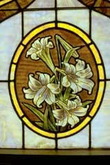 Easter Lilly