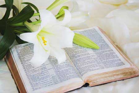 Easter Lilly and Bible