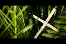 Palm branches and a cross are common symbols of Lent and Easter. Image courtesy The Upper Room.