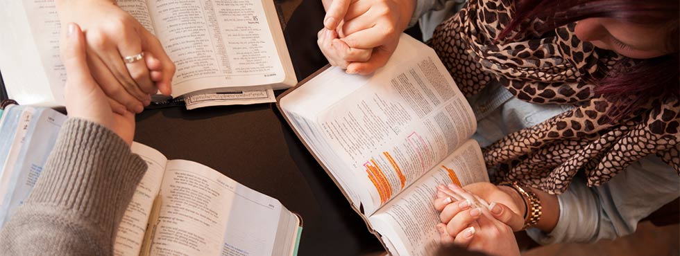 ELEVATING ADULT DISCIPLESHIP NEWSLETTER