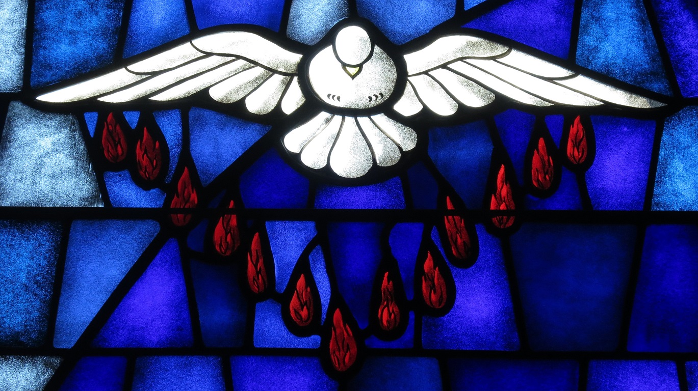 The Holy Spirit depicted as a dove. Stained glass window in Saint James the Greater Catholic Church, Concord, North Carolina. Wikimedia CC-BY-SA-4.0.
