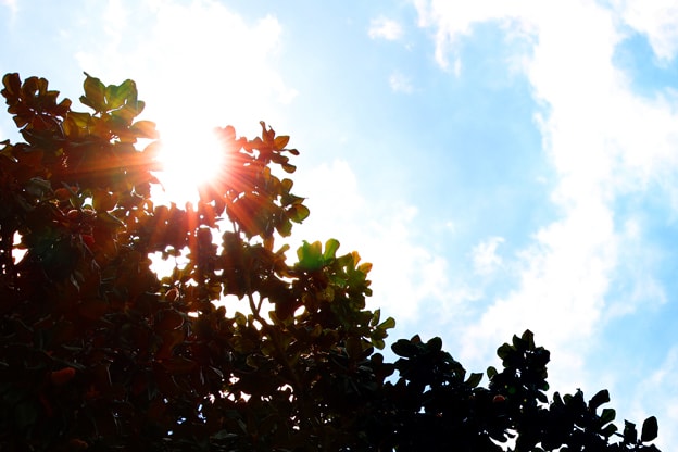 Questions to consider as you discern how to answer God's call. Image courtesy of Higher Education and Ministry. 