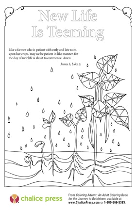 Image from Coloring Advent courtesy Chalice Press.