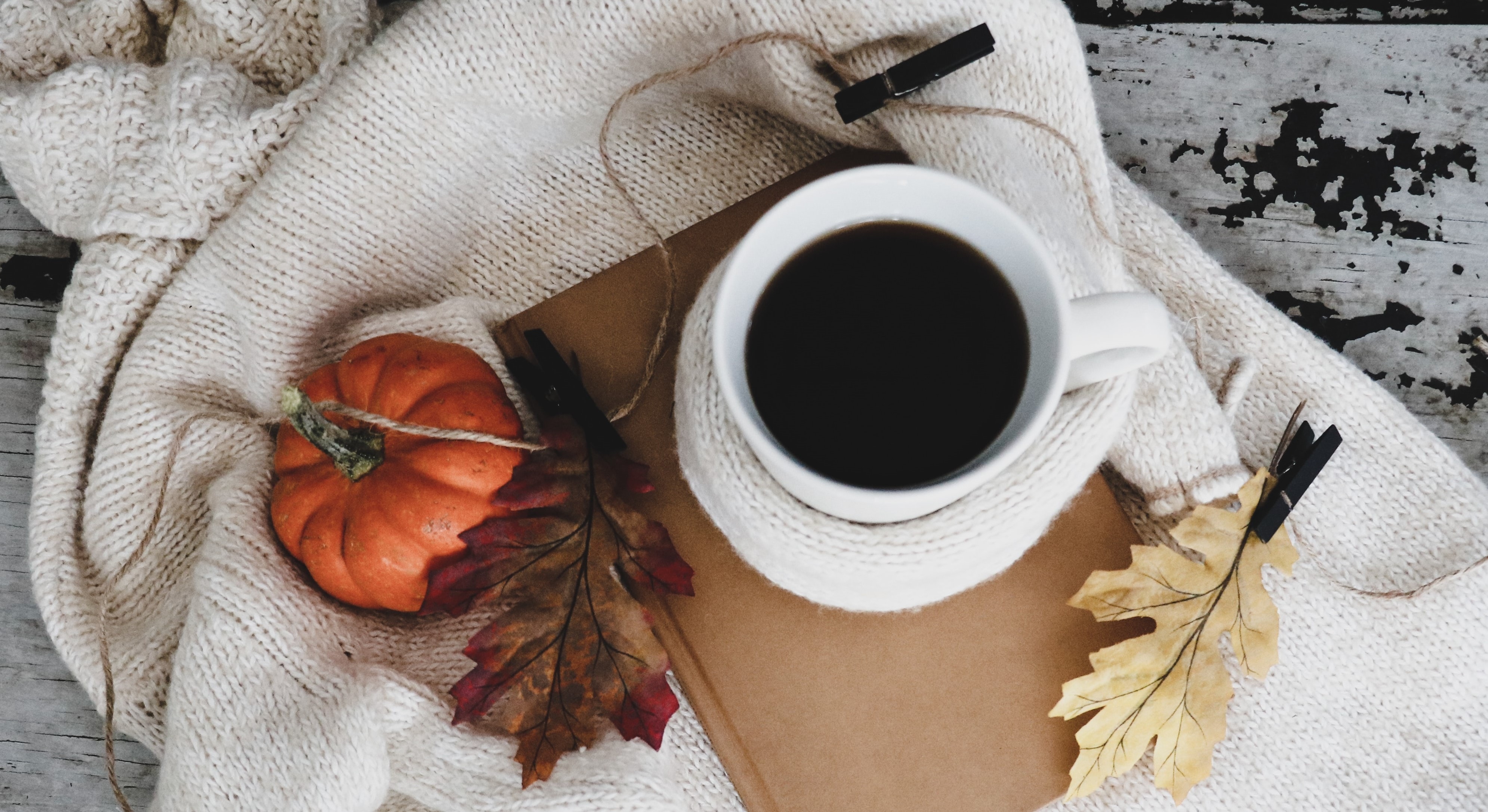 Foto por Debby Hudson de Unsplash. 