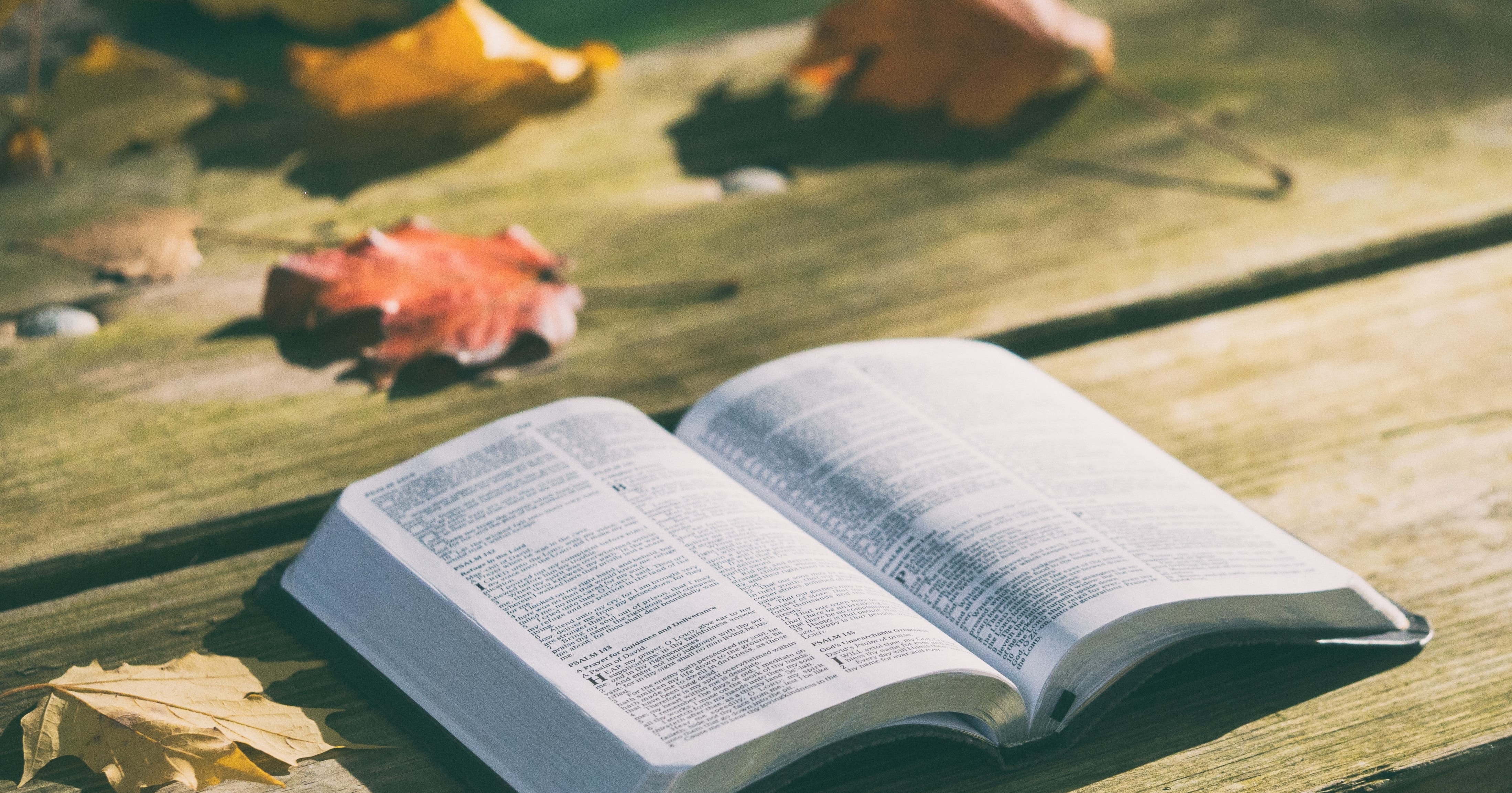 Foto por Aaron Burden de Unsplash.