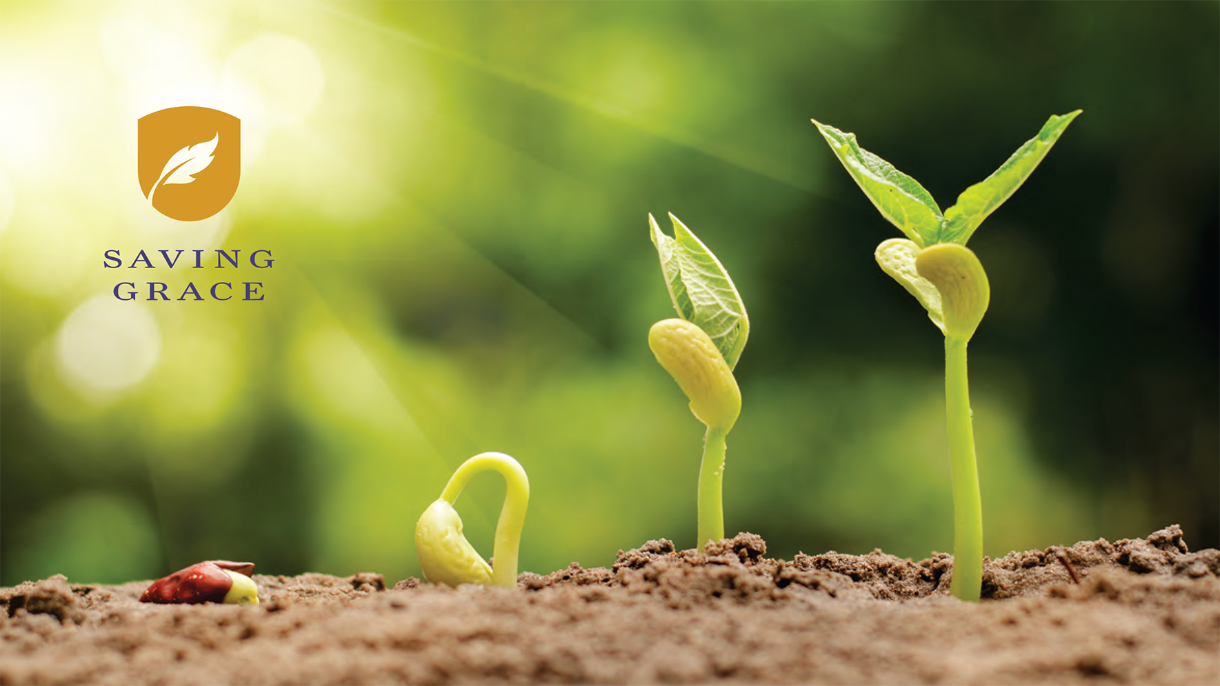 Saving Grace: A Guide to Financial Well-Being provides tools on the topics of saving, earning, giving, spending, and debt, along with helpful strategies for achieving a sustainable financial life. 