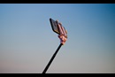 Photo by Steve Gale on Unsplash