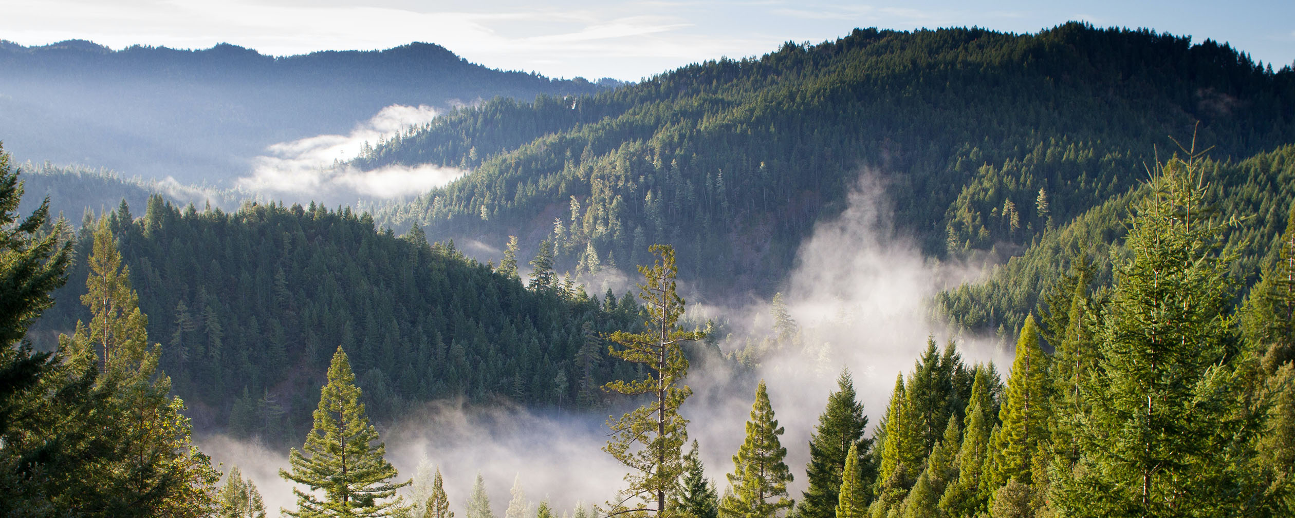 Image of mountains, trees and mist. Image by Paul Summers, Unsplash.com.