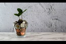 By taking advantage of special offers, including discounted advertising and marketing services, that are available to nonprofits, you may be able to grow your church and save a little money at the same time. Photo by Micheile dot com courtesy of Unsplash.