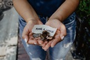 Raising money can be challenging at times. However you set up your fundraising activity, it is important that you develop a solid strategy and put plenty of effort into marketing to maximize impact. Photo by Katt Yukawa courtesy of Unsplash.