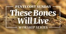 These Bones Will Live worship series header. Photo courtesy of Discipleship Ministries.