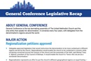 Share these legislative highlights from the postponed 2020 General Conference held April 23-May 3, 2024, in Charlotte, NC. 