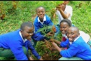 Students participating in a Global Ministries-supported reforestation program led by young people in the Mt. Kenya District of the Kenya-Ethiopia Conference. Photo: Courtesy of Rev. Alice Kirumba Ntiritu
