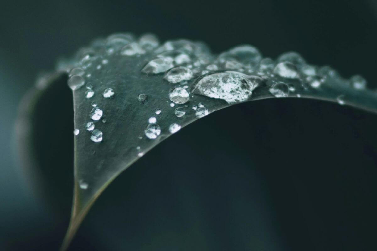 Week1_RenewedMercy_Worship_Series_Social