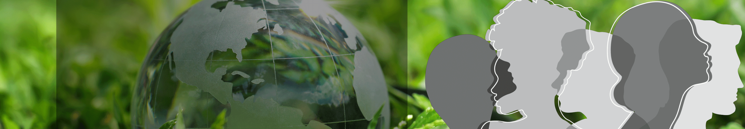 WCS_hero_image_2940x509