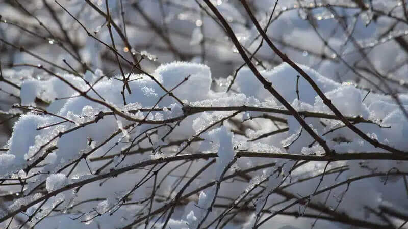 Winter scenics taken in New Albany, Ohio. Photo by Kay Panovec.