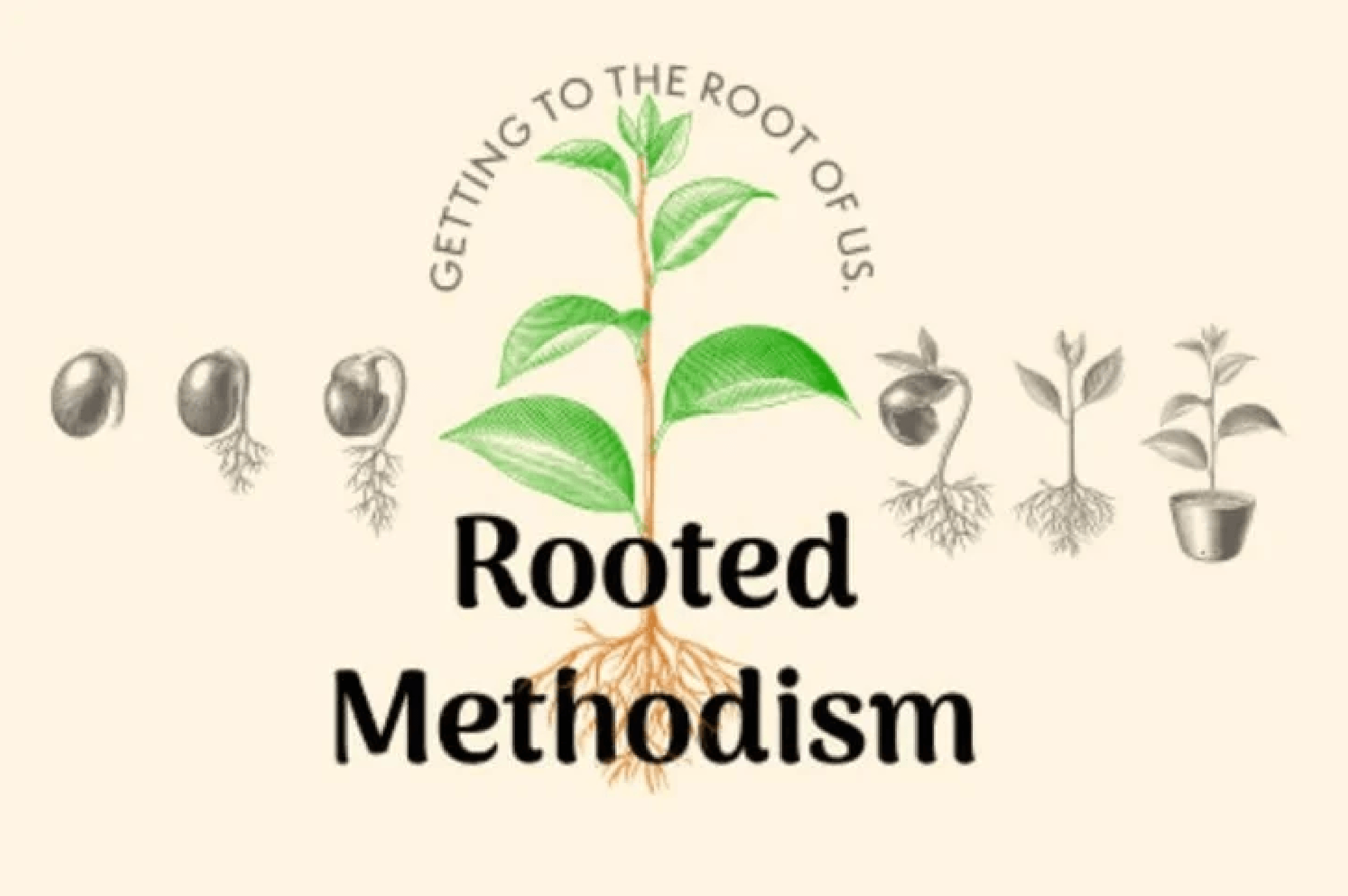Rooted Methodism - Getting to the root of us